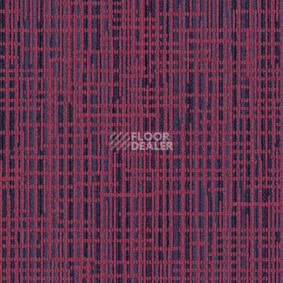 Ковровая плитка Interface Multichrome 4262009 Very Berry Chrome фото 1 | FLOORDEALER